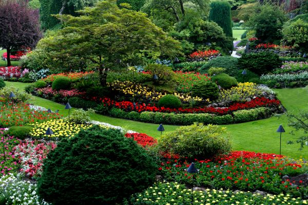 Top 5 astuces pour un jardin épanoui avec un irrigation efficace